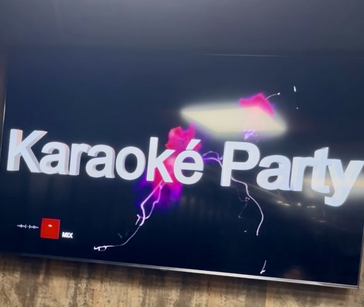 Écran de vidéoprojection Karaoké Party Stephevent63
